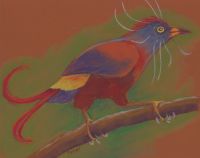 Bird of Paradise
